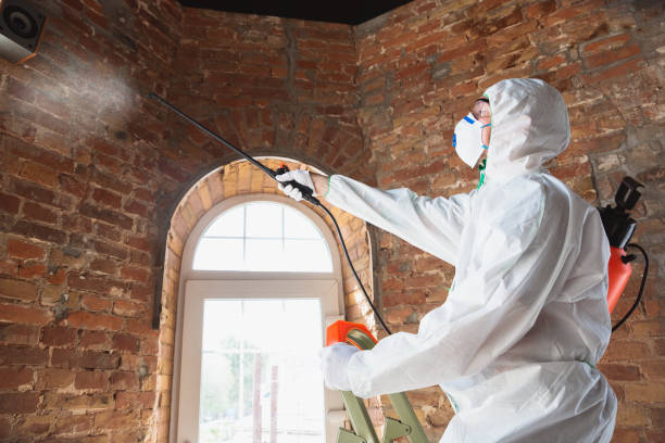 Best Mold Removal for HVAC Installations  in Mcdade, TX